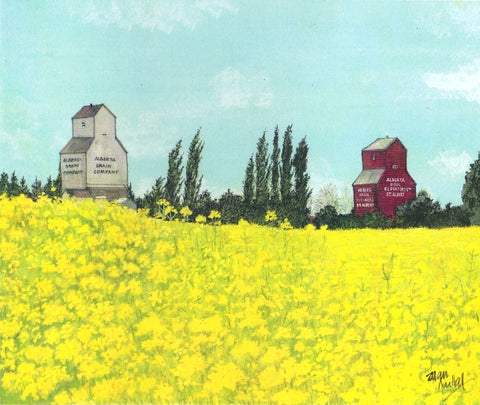 'Canola St. Albert' Art Print - Arts and Heritage St. Albert