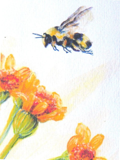 'Bee' Art Cards By Teresa Stieben Buzzing By - Arts and Heritage St. Albert