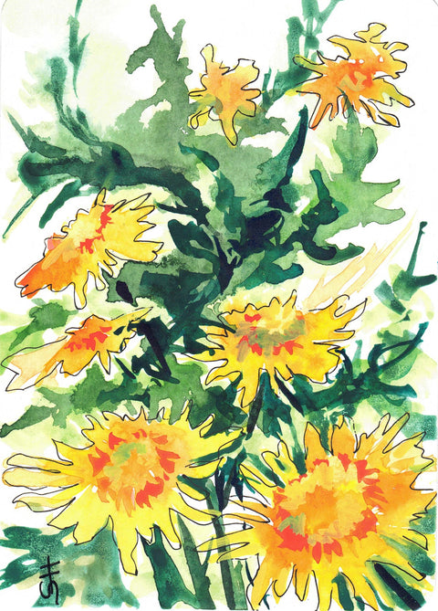 'Floral Series' Original Watercolours Dandelion - Arts and Heritage St. Albert