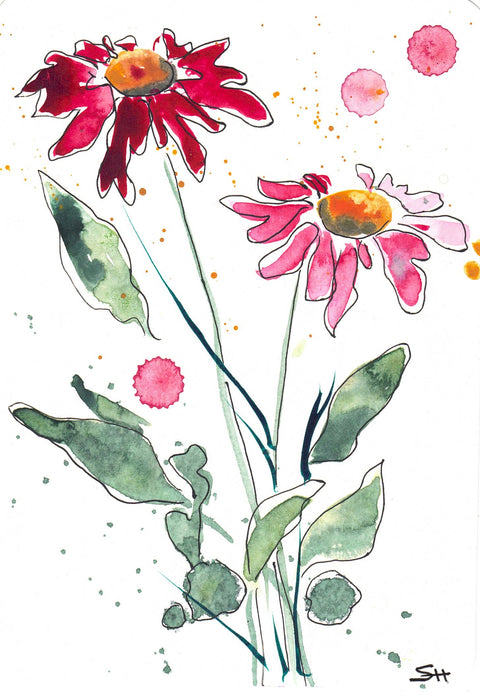 'Floral Series' Original Watercolours Burgundy Daisy - Arts and Heritage St. Albert