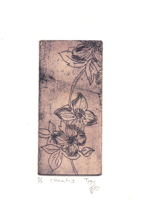 'Clematis' Original Etching - Arts and Heritage St. Albert