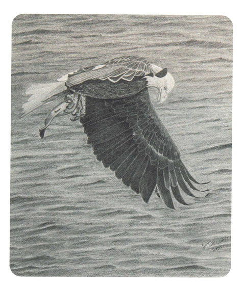 'Birds in Graphite' Art Cards By Gerald Delorme Bald Eagle Hunting - Arts and Heritage St. Albert