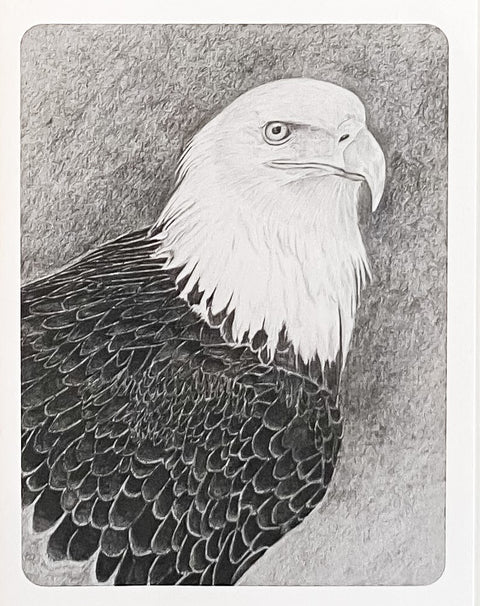 'Birds in Graphite' Art Cards By Gerald Delorme Bald Eagle - Arts and Heritage St. Albert