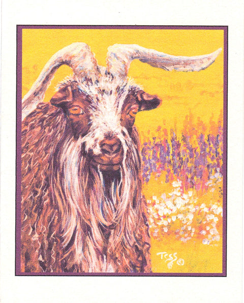 'Animal' Art Cards By Teresa Stieben Billy in the Wildflowers - Arts and Heritage St. Albert