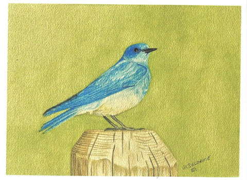 'Bird' Art Cards by Gerald Delorme Bluebird - Arts and Heritage St. Albert