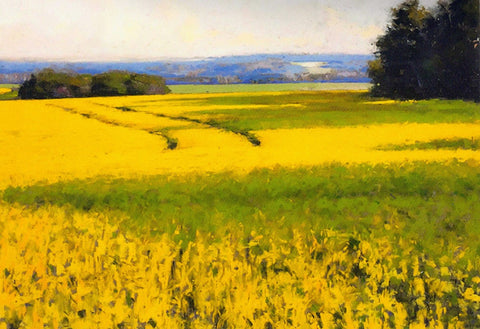 David Shkolny Art Cards Glenn's Canola - Arts and Heritage St. Albert