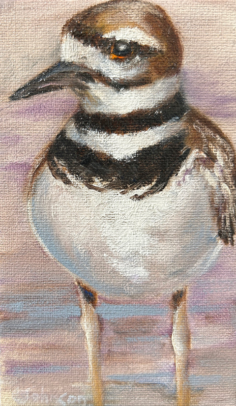 Killdeer - Arts and Heritage St. Albert