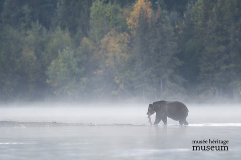 Fishing in the Mist - Arts and Heritage St. Albert