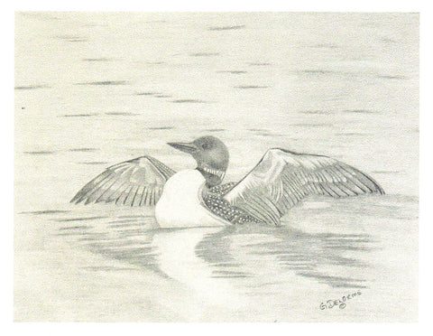 'Birds in Graphite' Art Cards By Gerald Delorme Loon - Arts and Heritage St. Albert