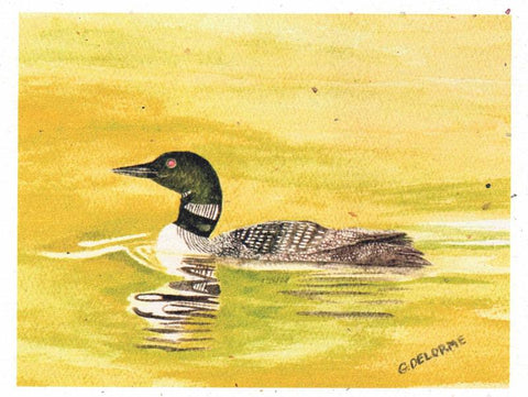 'Bird' Art Cards by Gerald Delorme Loon - Arts and Heritage St. Albert