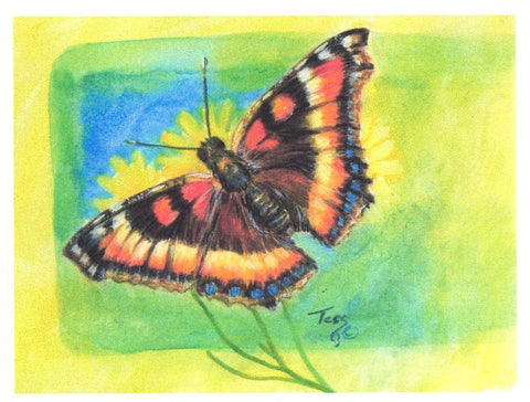 'Birds & Butterflies' Art Cards By Teresa Stieben Milbert's Tortoiseshell Butterfly - Arts and Heritage St. Albert