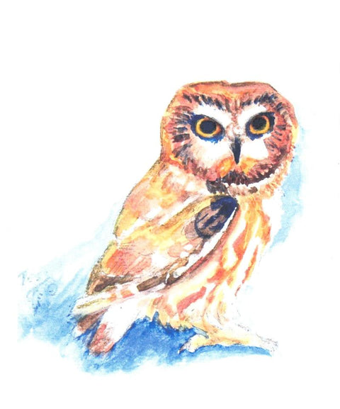 'Birds & Butterflies' Art Cards By Teresa Stieben Northern Saw-whet Owl - Arts and Heritage St. Albert