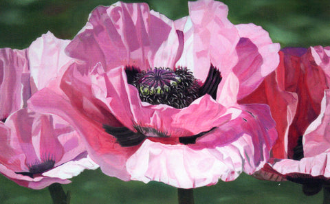 Floral Series Art Cards by Memory Roth Oriental Poppies in Pink, 4.25" x 7" - Arts and Heritage St. Albert