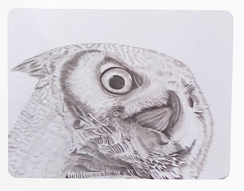 'Birds in Graphite' Art Cards By Gerald Delorme Owl - Arts and Heritage St. Albert