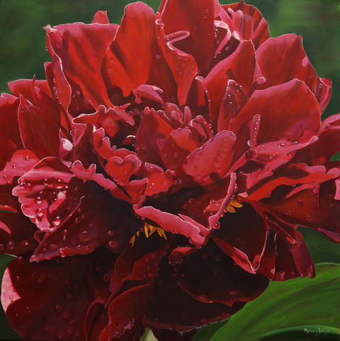 Floral Series Art Prints by Memory Roth Peony After the Rain - Arts and Heritage St. Albert