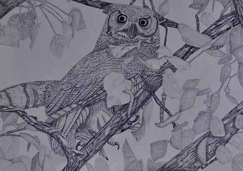 'Birds in Graphite' Art Cards By Gerald Delorme Horned Owl - Arts and Heritage St. Albert