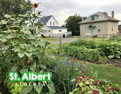 Postcards Belcourt + Cunningham houses at St.Albert's Historic Riverlot 24, 2022 - Arts and Heritage St. Albert