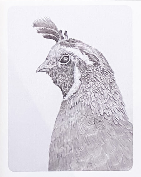 'Birds in Graphite' Art Cards By Gerald Delorme Quail - Arts and Heritage St. Albert