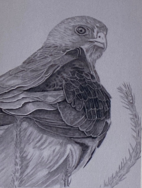 'Birds in Graphite' Art Cards By Gerald Delorme Second Glance - Arts and Heritage St. Albert