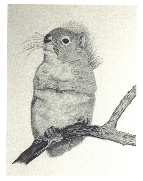 'Animals in Graphite' Art Cards by Gerald Delorme Squirrel - Arts and Heritage St. Albert