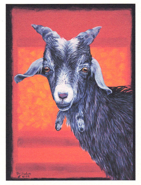 'Animal' Art Cards By Teresa Stieben Stanley Goat - Arts and Heritage St. Albert