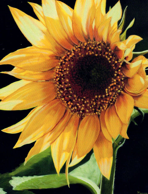 Floral Series Art Cards by Memory Roth Sunlit, 4.25" x 5.5" - Arts and Heritage St. Albert