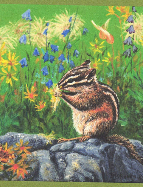 'Animal' Art Cards By Teresa Stieben Take Time To Enjoy The Wild Flowers - Arts and Heritage St. Albert