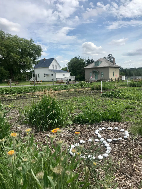 Learning from the Land–Birds and Plants (In-Person) - Arts and Heritage St. Albert