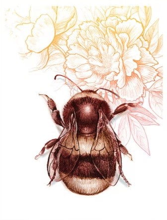 "Animal Series" Art Prints by Crystal Driedger Bee and Peonies - Arts and Heritage St. Albert