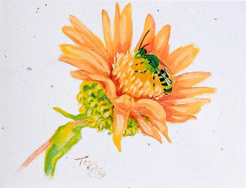 'Bee' Art Cards By Teresa Stieben Sweet Bee on Gumweed - Arts and Heritage St. Albert