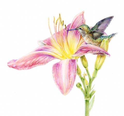 "Botanical Series" Art Cards by Crystal Driedger Enjoy The Day - Arts and Heritage St. Albert