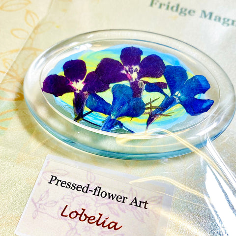 Pressed Flower Art Fridge Magnets Lobelia - Arts and Heritage St. Albert