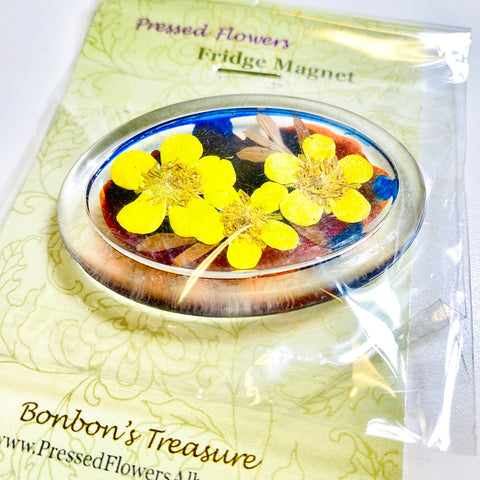 Pressed Flower Art Fridge Magnets Candytuft - Arts and Heritage St. Albert