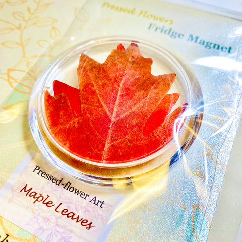 Pressed Flower Art Fridge Magnets Maple Leaves - Arts and Heritage St. Albert