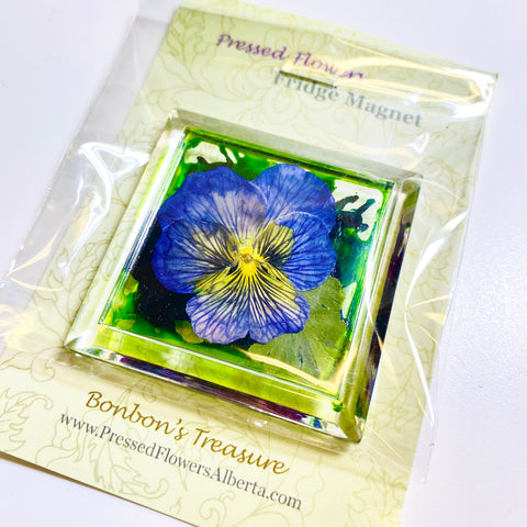 Pressed Flower Art Fridge Magnets Larkspur - Arts and Heritage St. Albert