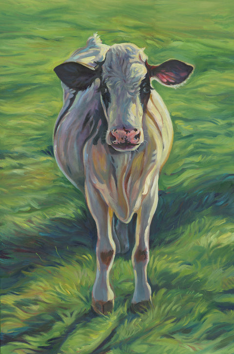 "Cow Series" Art Cards by Crystal Driedger Penny - Arts and Heritage St. Albert