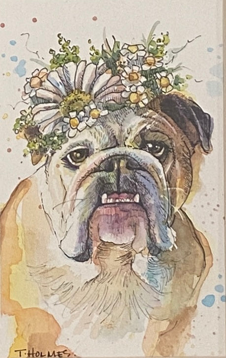 Watercolour Bulldog - Arts and Heritage St. Albert