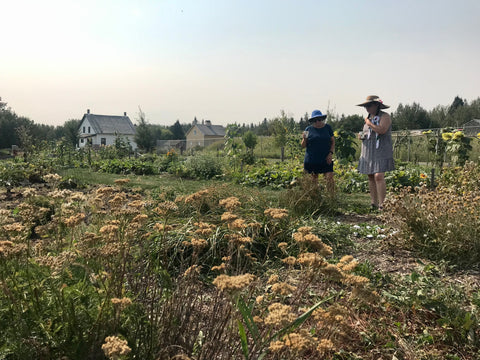 Land-Based Learning Opportunities - Arts and Heritage St. Albert