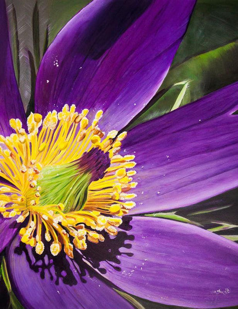 Floral Series Art Cards by Memory Roth Prairie Crocus, 4.25" x 5.5" - Arts and Heritage St. Albert