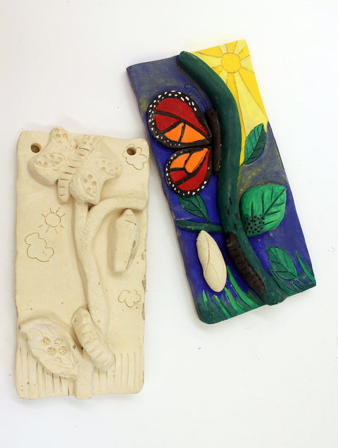 Animals + Insects Metamorphosis (grades 2–3) - Arts and Heritage St. Albert