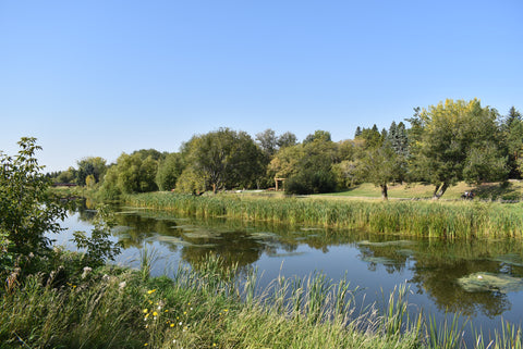 Walking Tours - Arts and Heritage St. Albert